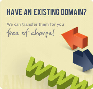 Have an existing domain? We can transfer them for you free of charge!