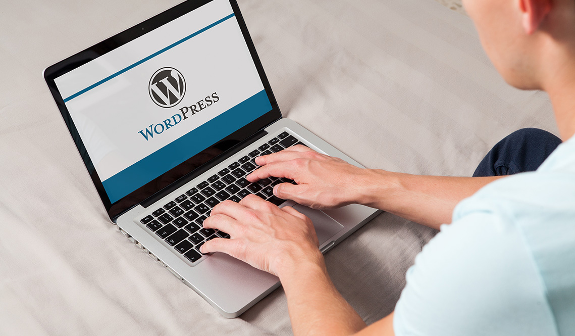 Wordpress website updates