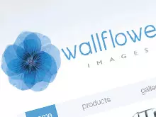 Wallflower Images