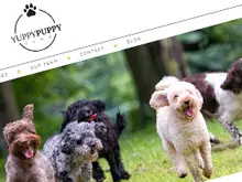 Yuppy Puppy Club